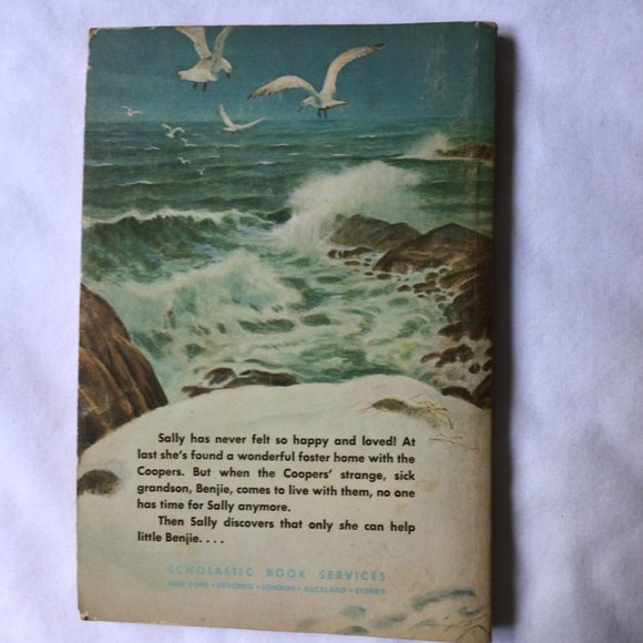 Six books for 3rd-4th grade reading level; Soccer Halfback, Royal Magic, Sally, - Picture 7 of 16